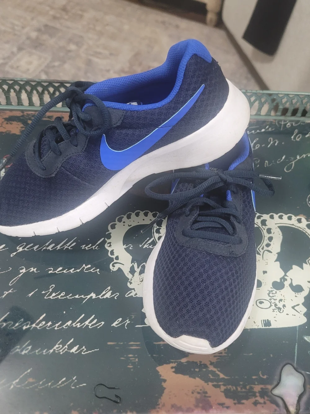 Nike Navy & Blue Running Sneakers